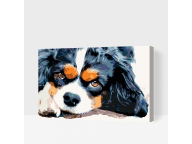 Számfestő kerettel - Kutyakölyök