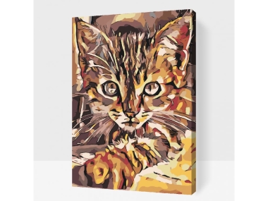 Számfestő kerettel - Lopakodó cica