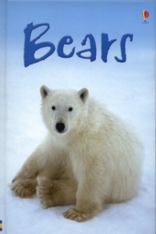 Beginners animal - Bears